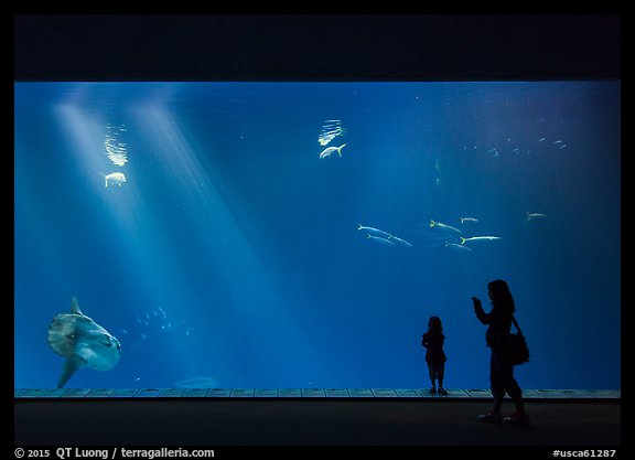 Mother and girl in front of huge fish tank, Monterey Bay Aquarium. Monterey, California, USA (color)