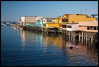 Wharf. Monterey, California, USA ( color)