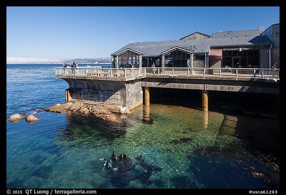 Observation deck and scuba divers, Monterey Bay Aquarium. Monterey, California, USA (color)
