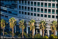Palm trees, and Adobe building from above. San Jose, California, USA ( color)