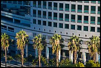 Palm trees, and Adobe building from above. San Jose, California, USA ( color)