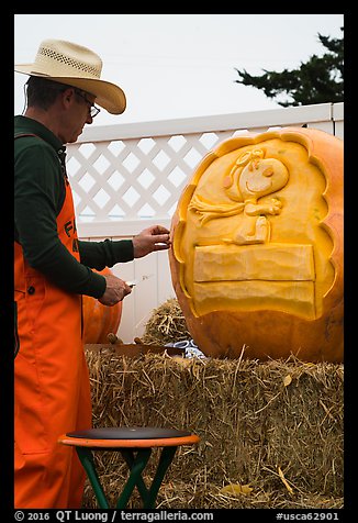 Man carving elaborate pumpkin. Half Moon Bay, California, USA (color)