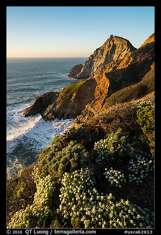 Devils slide with wildflowers, late afternoon. San Mateo County, California, USA (color)