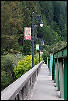 Bridge over Russian River, Monte Rio. California, USA ( color)