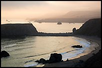 Sonoma Coast State Park, sunset. Sonoma Coast, California, USA ( color)