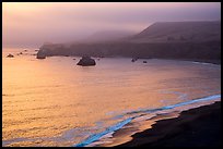 Goat Rock State Beach, sunset. Sonoma Coast, California, USA ( color)