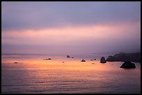 Coastline at sunset north of Jenner. Sonoma Coast, California, USA ( color)