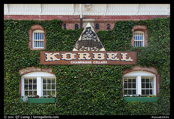 Korbel Champagne Cellars facade with ivy, Guerneville. California, USA (color)
