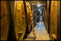 Huge barrels in cellar, Korbel Champagne Cellars, Guerneville. California, USA ( color)