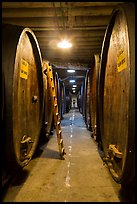 Huge barrels, Korbel Champagne Cellars, Guerneville. California, USA ( color)