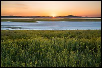 Sunset over Soda Lake in spring. Carrizo Plain National Monument, California, USA ( color)