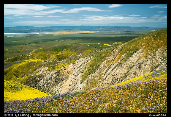 Soda Lake and Carrizo Plain from Temblor Range hills. Carrizo Plain National Monument, California, USA (color)