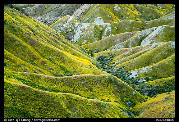 Ridges in springtime. Carrizo Plain National Monument, California, USA (color)