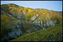 Temblor Range hills in the spring, dusk. Carrizo Plain National Monument, California, USA ( color)