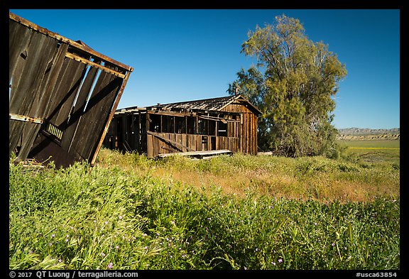 Traver Ranch. Carrizo Plain National Monument, California, USA (color)