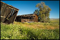 Traver Ranch. Carrizo Plain National Monument, California, USA ( color)