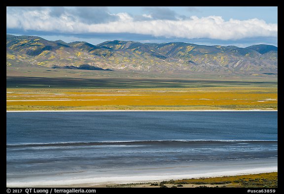 Soda Lake and Temblor Range in springtime. Carrizo Plain National Monument, California, USA (color)