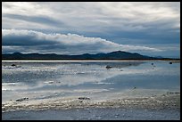 Soda Lake. Carrizo Plain National Monument, California, USA ( color)