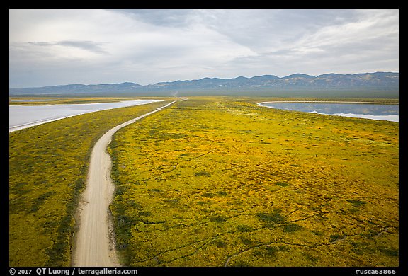 Aerial view of Carrizo Plain and lakes. Carrizo Plain National Monument, California, USA (color)