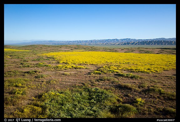 Aerial view of Carrizo Plain in springtime. Carrizo Plain National Monument, California, USA (color)