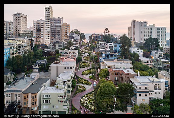 Aerial view of Lombard Street area. San Francisco, California, USA (color)
