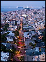 Aerial view of Lombard Street, Coit Tower, and Bay at night. San Francisco, California, USA ( color)