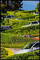 Lombard Street from the bottom with cars on turns. San Francisco, California, USA ( color)