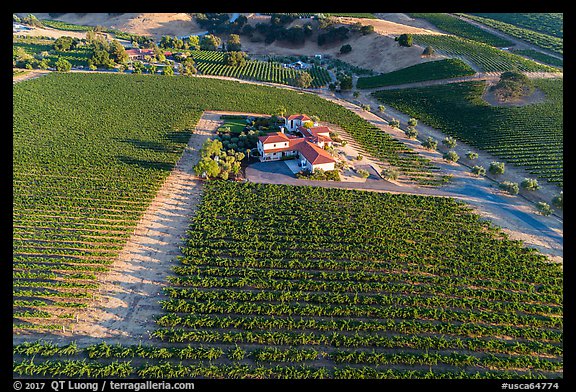 Aerial view of vineyard and winery in summer. Livermore, California, USA (color)
