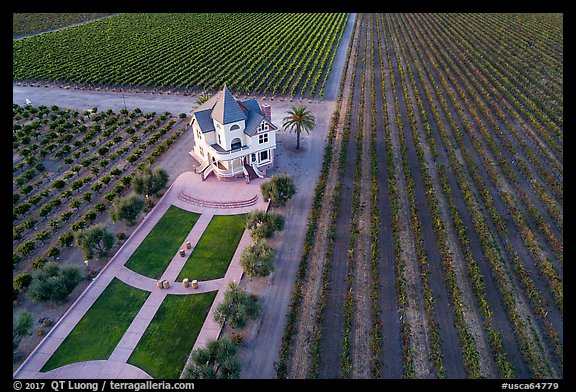 Aerial view of Concannon winery and rows of vines in summer. Livermore, California, USA (color)