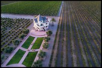 Aerial view of Concannon winery and rows of vines in summer. Livermore, California, USA ( color)