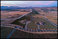 Aerial view of vineyards and wineries in summer, sunset. Livermore, California, USA ( color)