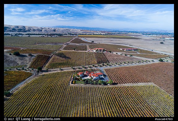 Aerial view of vineyards and wineries in autumn. Livermore, California, USA (color)