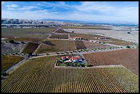 Aerial view of vineyards and wineries in autumn. Livermore, California, USA ( color)