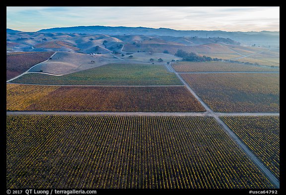 Aerial view of multicolored vineyards and hills in autumn. Livermore, California, USA (color)