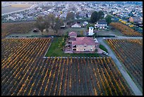 Aerial view of winery at the edge of suburban housing. Livermore, California, USA ( color)