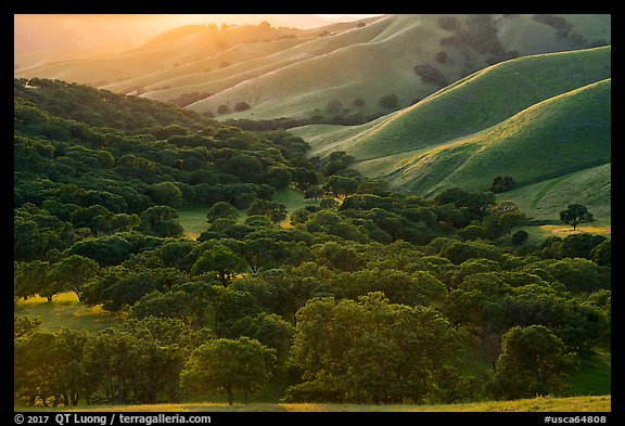 Oaks and hill ridges, spring, Del Valle Regional Park. Livermore, California, USA (color)