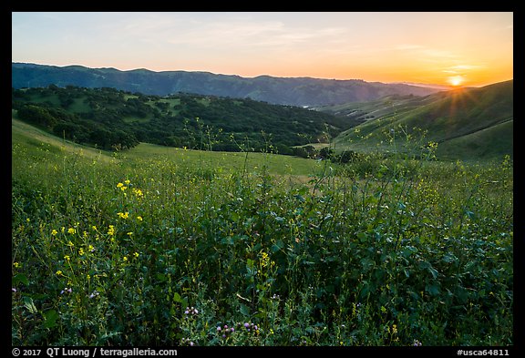Spring Sunset over Del Valle Regional Park. Livermore, California, USA (color)