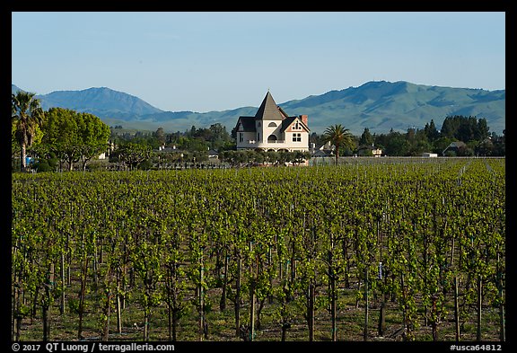 Winery. Livermore, California, USA (color)