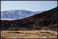 Amboy Crater slope and mountains. Mojave Trails National Monument, California, USA ( color)