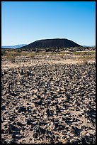 Volcanic rocks, grasses, and Amboy Crater. Mojave Trails National Monument, California, USA ( color)