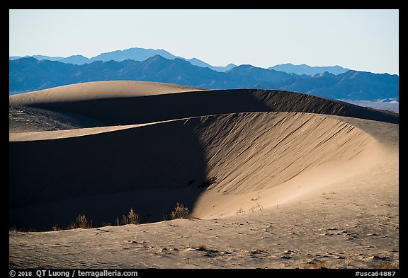 North Cadiz Dunes, afternoon. Mojave Trails National Monument, California, USA (color)