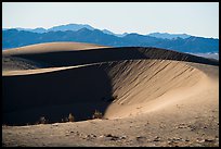 North Cadiz Dunes, afternoon. Mojave Trails National Monument, California, USA ( color)