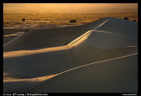 Backlit ridges, Cadiz Dunes Wilderness. Mojave Trails National Monument, California, USA (color)