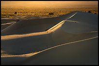 Backlit ridges, Cadiz Dunes Wilderness. Mojave Trails National Monument, California, USA ( color)