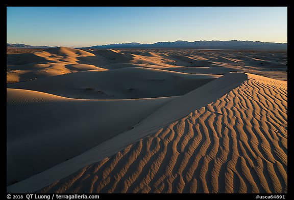Ripples on dunes, Cadiz Sand Dunes. Mojave Trails National Monument, California, USA (color)