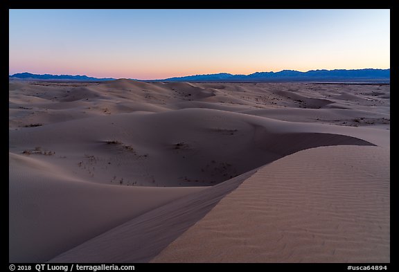 Dusk, Cadiz Dunes Wilderness. Mojave Trails National Monument, California, USA (color)
