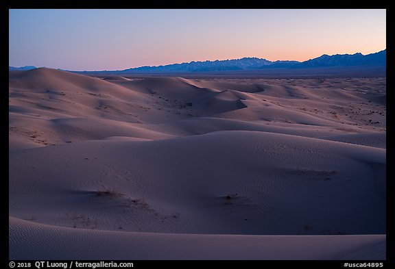 Dune ridges and Shiphole Mountains at dusk, Cadiz Dunes. Mojave Trails National Monument, California, USA (color)