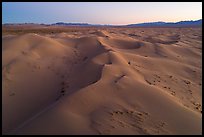 Aerial view of pristine Cadiz dunes at dusk. Mojave Trails National Monument, California, USA ( color)