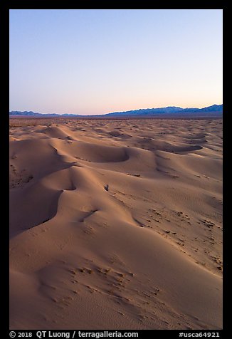 Aerial view of Cadiz Sand Dunes at dusk. Mojave Trails National Monument, California, USA (color)