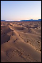 Aerial view of Cadiz Sand Dunes at dusk. Mojave Trails National Monument, California, USA ( color)